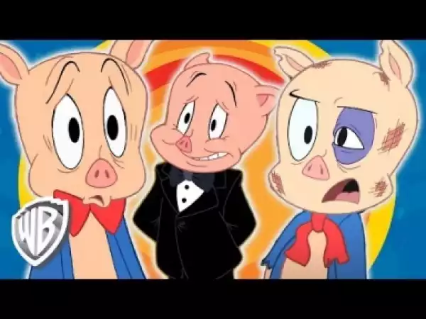 Video: Looney Tunes | Poor Porky!